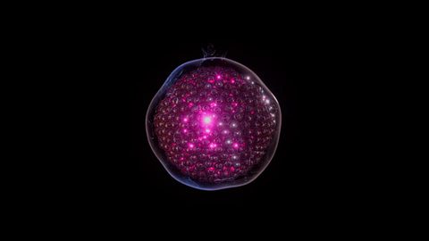 코-크리에이션 · 2023.06.30 72장 — 코-크리에이션을 통한 수익 창출