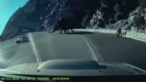 메타버스 · 2020.11.26 87장 — 메타버스로의 몰입감 강화